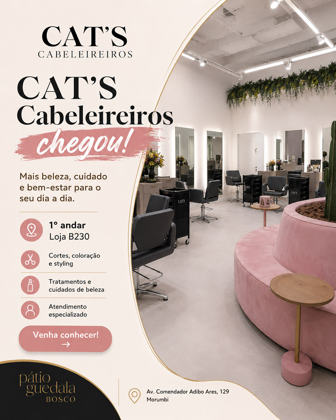 CatsCabelereirosChegou